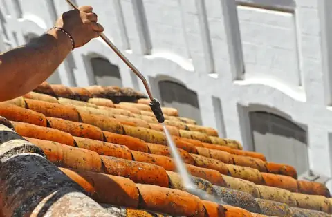 Nettoyage de toitures - Moselle